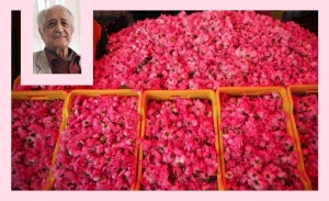 Anouar Attia: Je me souviens de Nabeul printanier (Album photos)