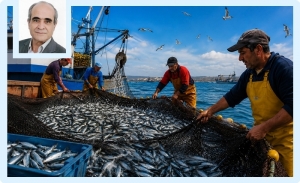 La sardine tunisienne: Un petit poisson, un véritable trésor national