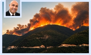Tunisie: Les incendies, une tragédie écologique, mais aussi génétique