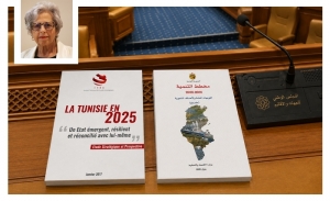Riadh Zghal - Le plan de développement: Un pas vers la décentralisation sur un long chemin à parcourir