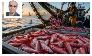 Le rouget: Un poisson succulent aux qualités nutritionnelles remarquables
