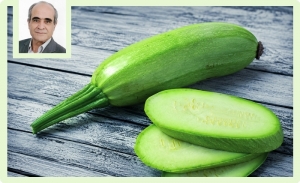 La courgette: Un légume d’été plein de bienfaits, souvent sous-estimé en Tunisie