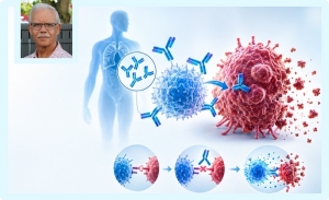 Immuno-et-Curie-thérapies: deux avancées technologiques de traitements du cancer