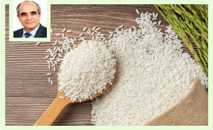 Ridha Bergaoui: Le riz en Tunisie, un aliment discret mais indispensable